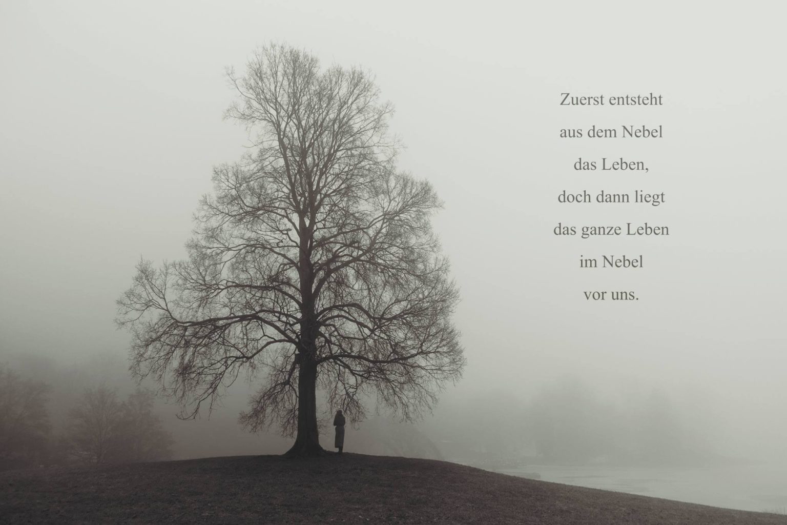 nebel Silbenton